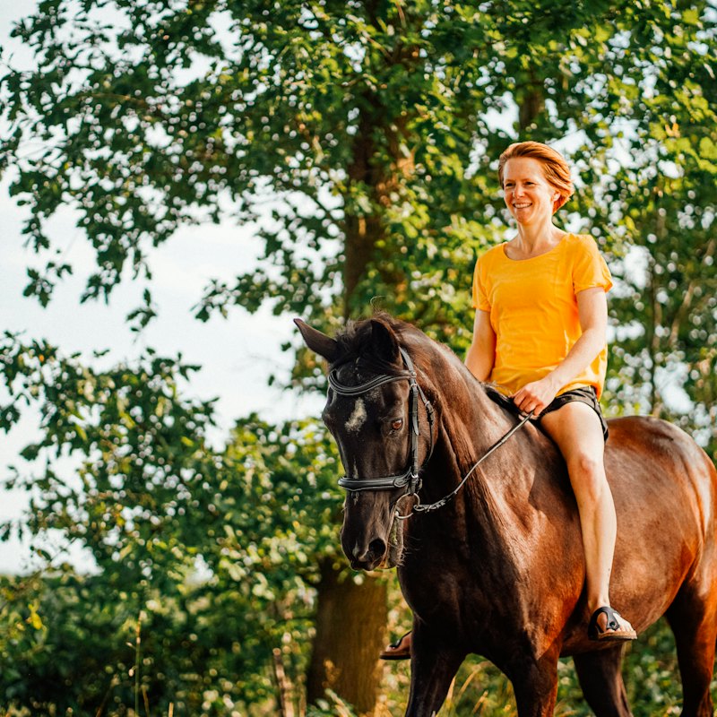 Une cavalière en balade sous les arbres